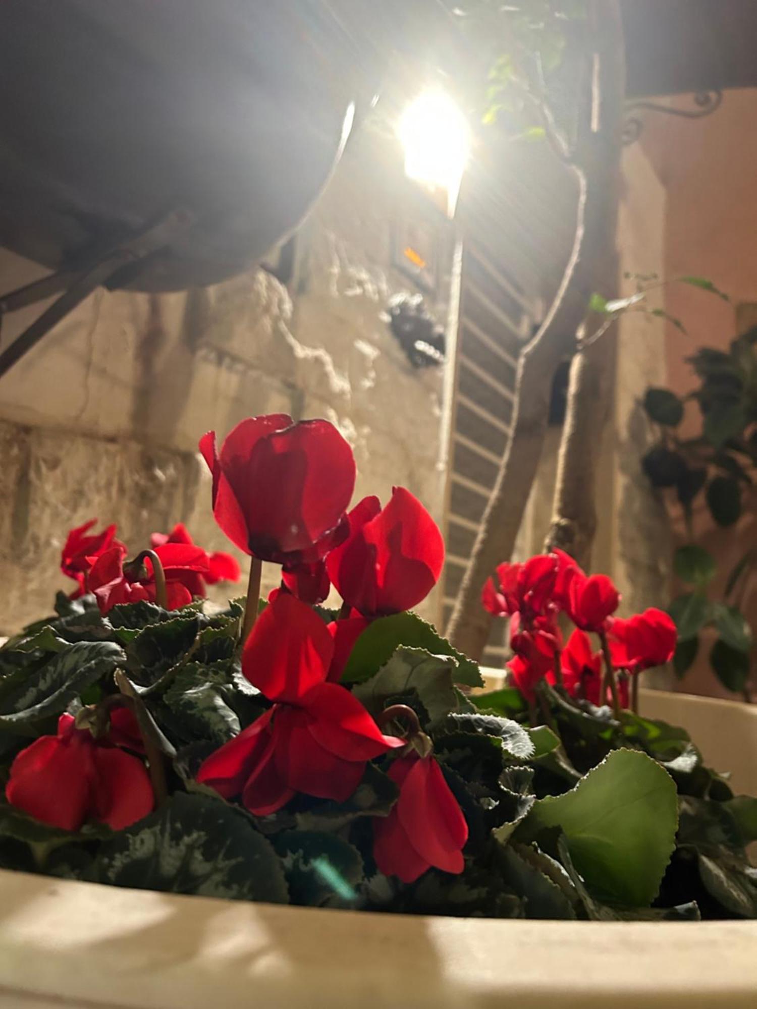 B&B Bari Vecchia R Экстерьер фото